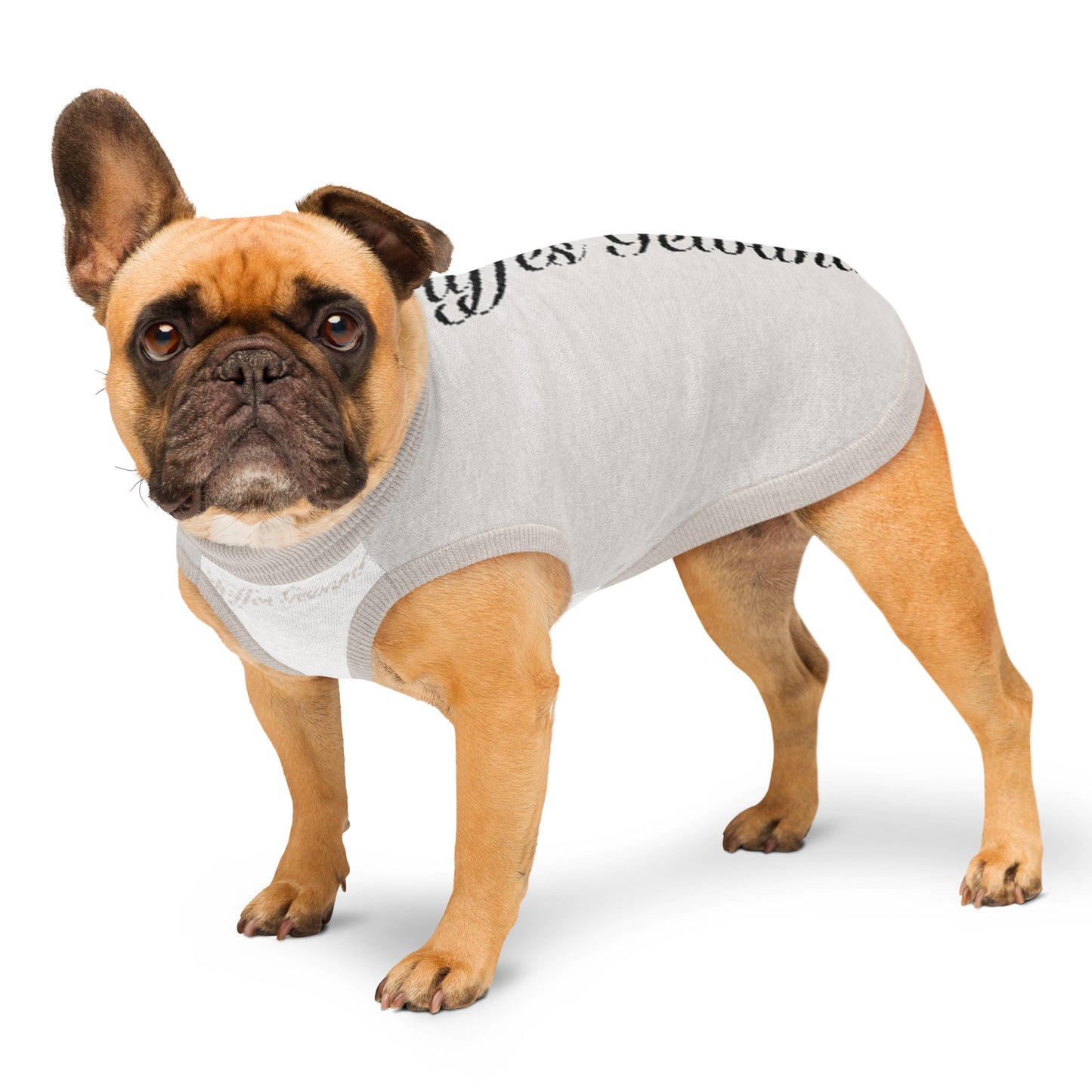 Hundepullover